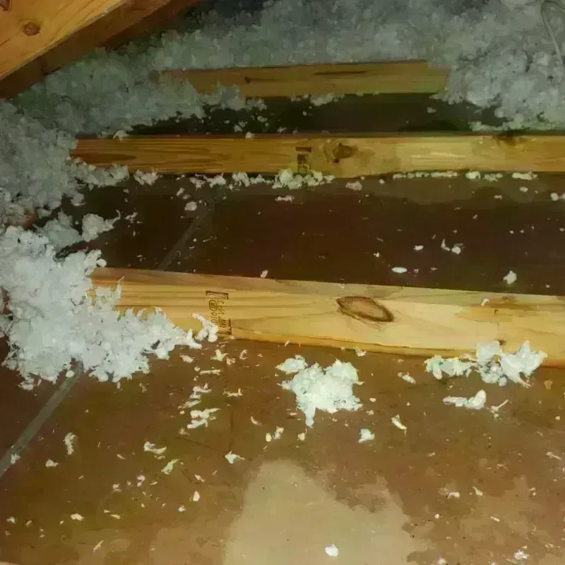 Attic Water Damage in Callahan County, TX