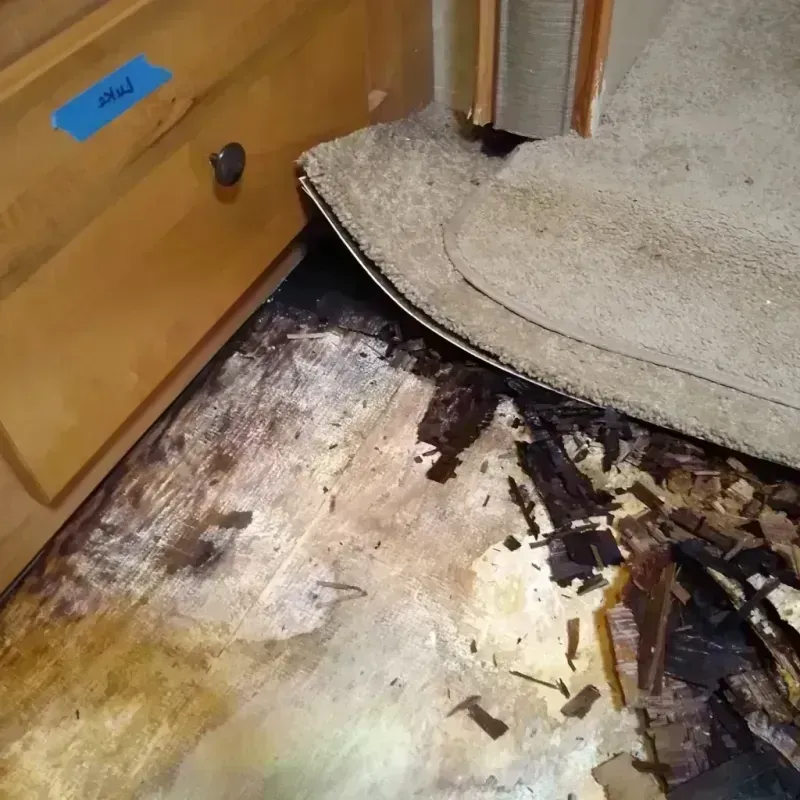 Best Wood Floor Water Damage Service in Callahan County, TX